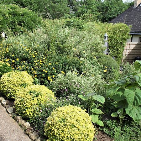Paulanosa Gite Asnieres-sur-Vegre ภายนอก รูปภาพ